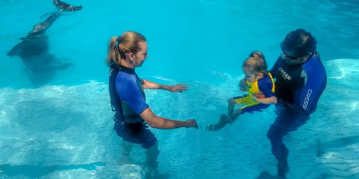 Femeia Care-si Trateaza Fetita Bolnava De Autism Cu Ajutorul Delfinilor: ,,A Inceput Sa-mi Spuna Mama”