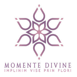 Momente Divine
